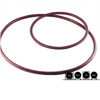 FEP Encapsulated Seal