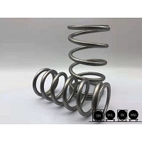 Precision SRV Spring SRV Spring for ISO Tank Safety Relief Valve