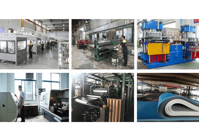 Visit The Professional One-stop Sealing And Thermal Insulation Solution Manufacturer On The Day Of Chinese Lantern Festival