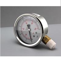 High-Precision Industrial Pressure Gauge for Reliable Monitoring