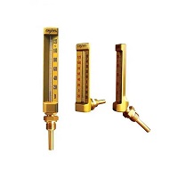 Accurate Digital Thermometer