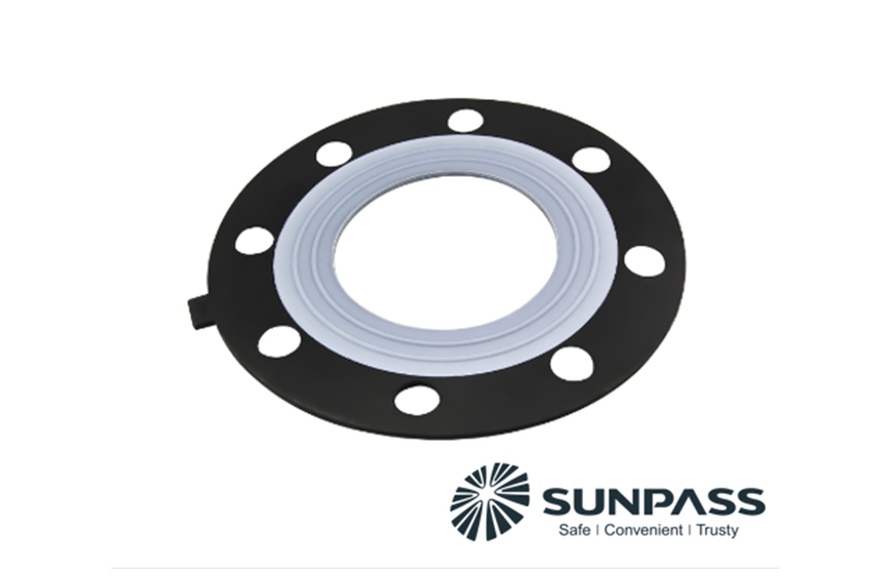 The Italian customersr Ordered EPDM PTFE Gasket From TOP-SEALING.